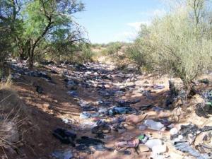 Illegal immigration trashing our country